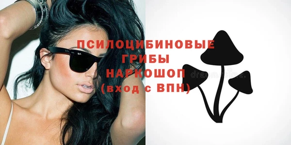 стаф Алексеевка