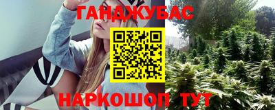 крисы Лесосибирск