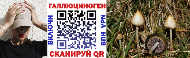 купить наркотики цена  Дмитров  kraken как зайти  Галлюциногенные грибы Magic Shrooms 