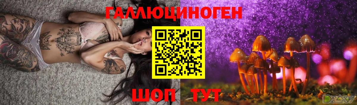 Дмитров  Псилоцибиновые грибы Psilocybe  наркота  Вход с VPN 