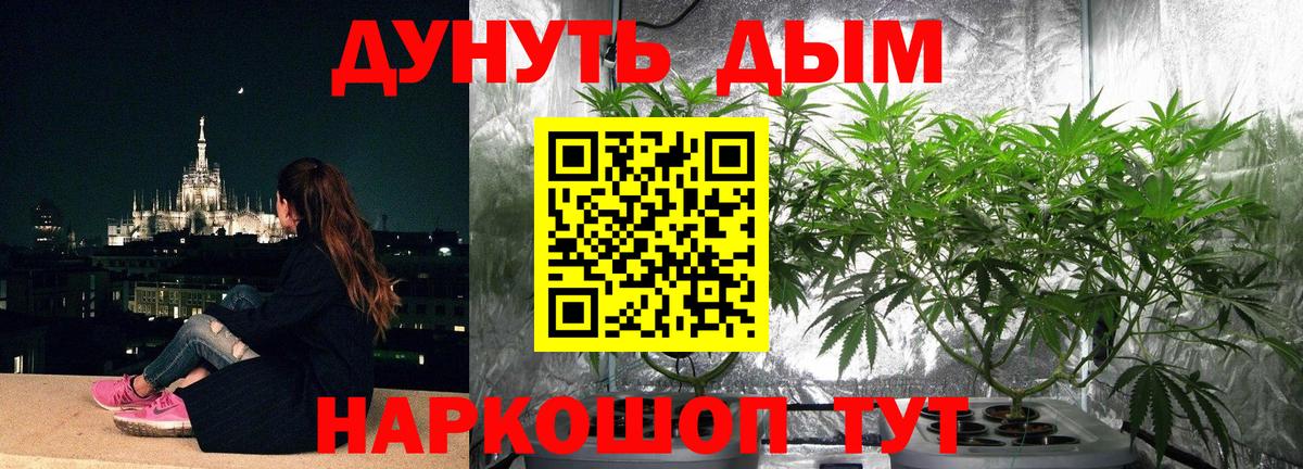 Конопля LSD WEED Дмитров